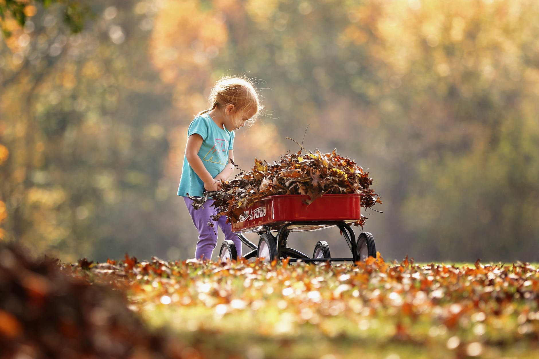 20 de idei de toamnă rece – ce poți face cu copiii în parc?