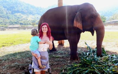 Întâlniri etice cu elefanți: cum alegi un sanctuar care pune bunăstarea pe primul loc