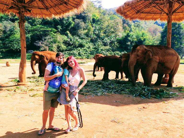 O experiență fantastică alături de elefanți – de ce să nu călărești elefanți în Thailanda și care este alternativa etică