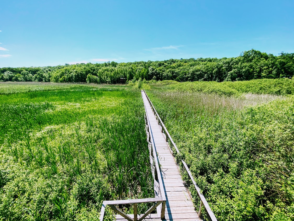 18 idei de activități în Parcul Natural Comana – excursie de o zi în jurul Bucureștiului