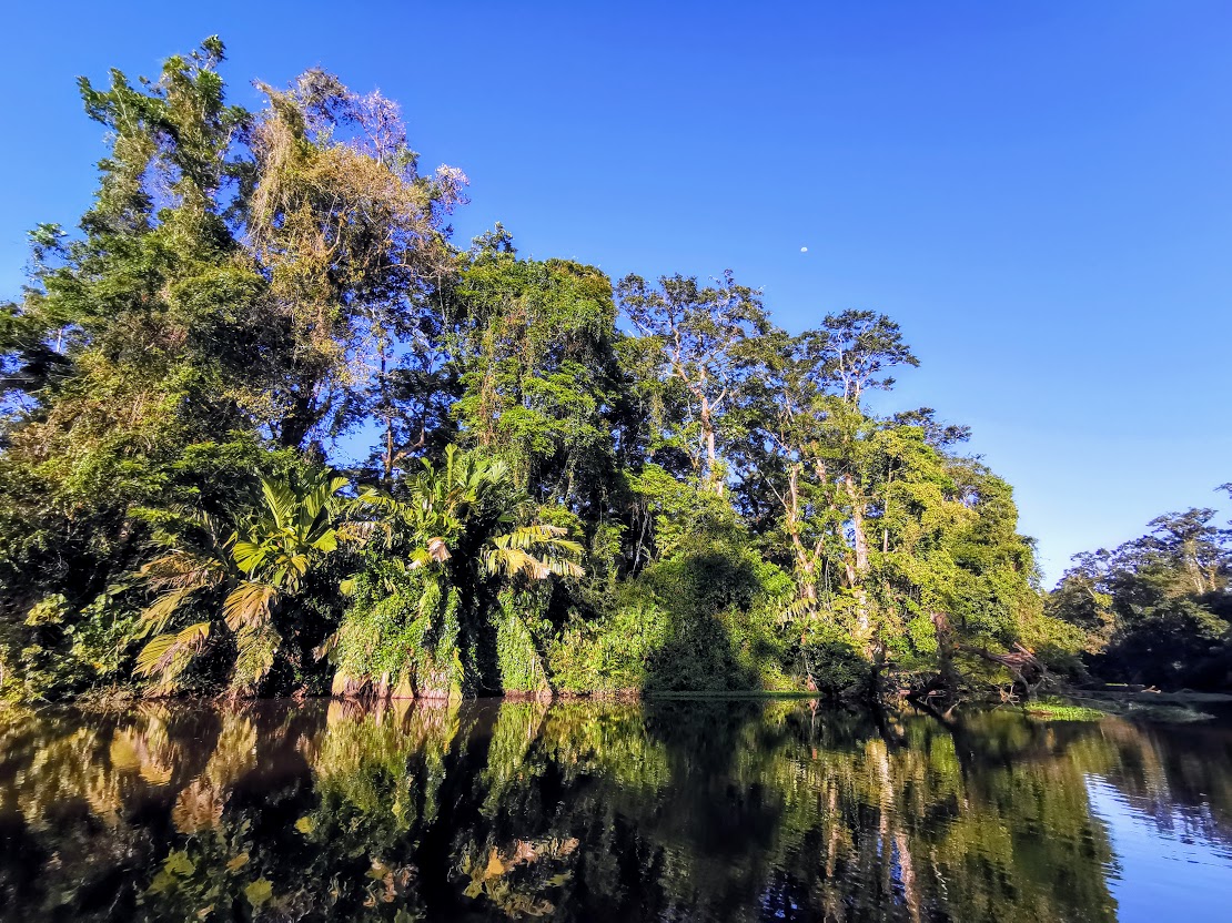 Cu barca prin junglă – Parcul Național Tortuguero și adevăratul ecoturism din Costa Rica