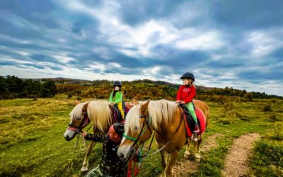 Potcoava Mountain Hideaway, cazare family-friendly în mijlocul cailor