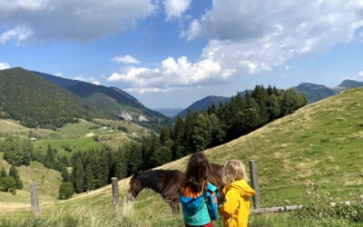 Weekend spontan pe Culoarul Rucăr–Bran cu copiii. Ce a meritat, ce nu și unde ne-am întoarce